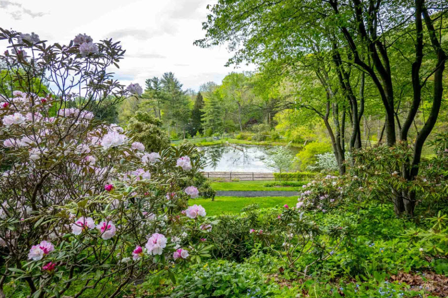 Jenkins Arboretum & Gardens, United States